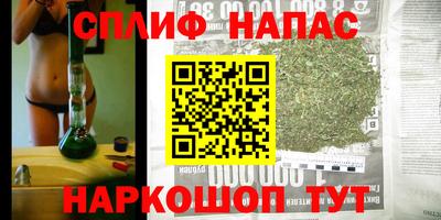 МДПВ Аша