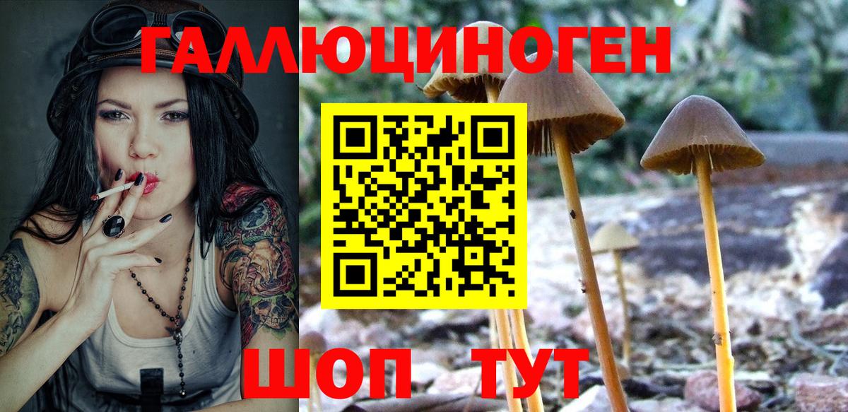 Галлюциногенные грибы MAGIC MUSHROOMS Малоярославец